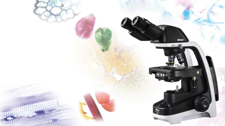 NIKON – SCIENZE DEI MATERIALI