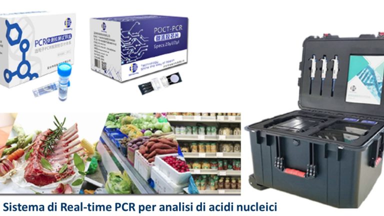 CAMPI APPLICATIVI DEL TEST MOLECOLARE PCR POST COVID CAMPI APPLICATIVI DEL TEST MOLECOLARE PCR POST COVID
