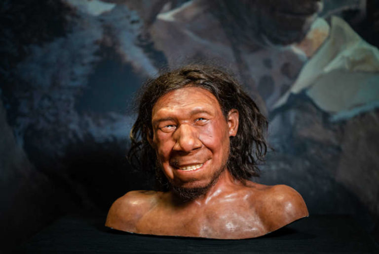 I Neanderthal disboscavano le foreste già 125.000 anni fa I Neanderthal disboscavano le foreste già 125.000 anni fa
