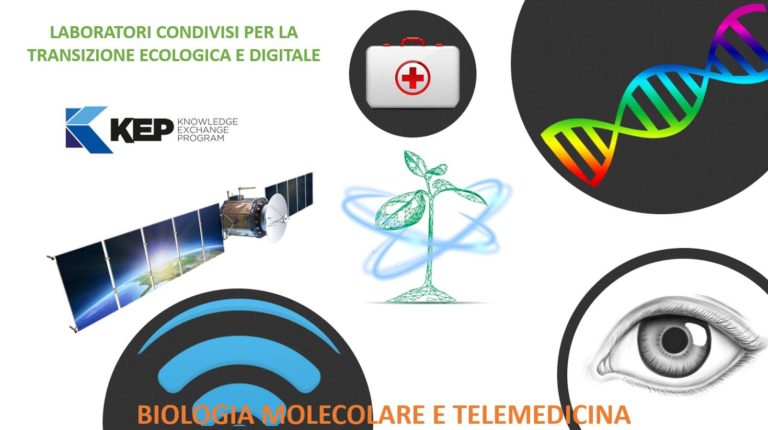 cos’è la telemedicina?