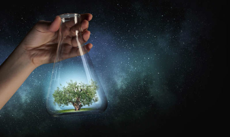 Bio-idrogeno per lo spazio, al Gplab le nuove frontiere dell’innovazione Bio-idrogeno per lo spazio, al Gplab le nuove frontiere dell’innovazione