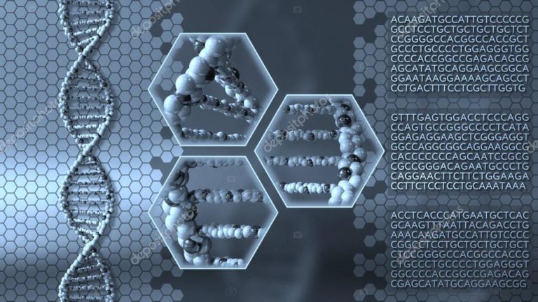 Validazione Test molecolare RT-PCR  Spedali Riuniti di Brescia
