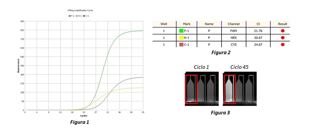 Curve Chip Risultati 3 Shared Labs Laboratori Condivisi Per L