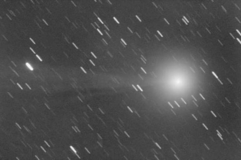 Telescopi puntati su Leonard, la cometa di Natale
