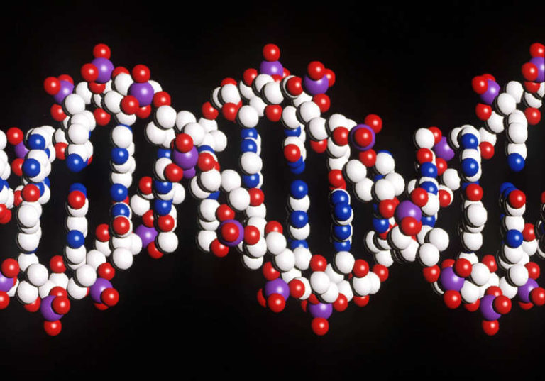 Nano-luci colorate per immagazzinare i dati con il Dna